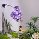 thumbnail image 3 of Planta De Terrario Artificial, Enredadera Trepadora De Reptiles Multiusos Con Ventosa Para Lagartos, Arañas, Serpientes, 3 of 7