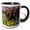 Black/White, variant on 3drose, Usa, Washington State, Sammamish. Cinnias and Canna Lily in Garden., 11oz Magic Transforming Mug