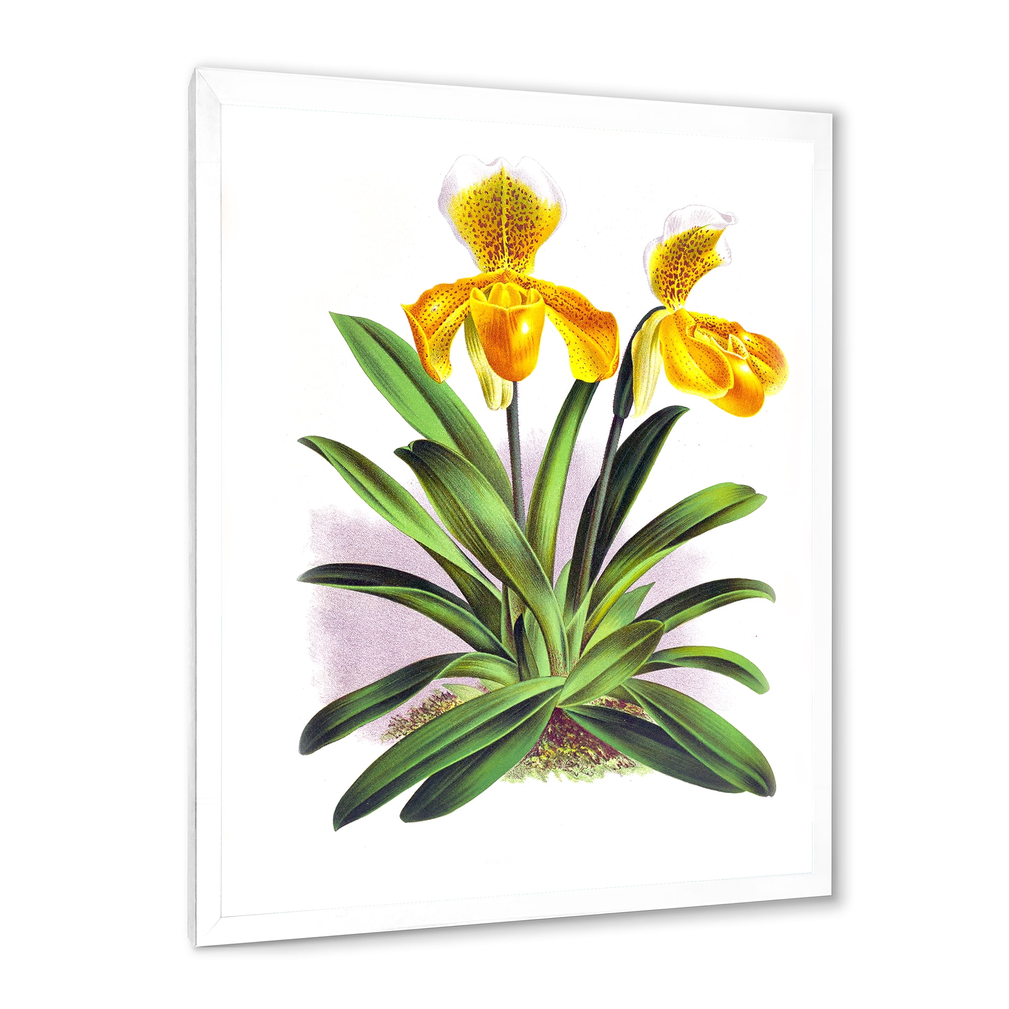 Designart 'Yellow Vintage Orchid' Traditional Framed Art Print
