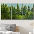 thumbnail image 3 of wall26 Canvas Print Wall Art Set Forest Pine Trees &amp; Foliage Nature Wilderness Photography Realism Rustic Scenic Relax/Calm Multicolor for Living Room, Bedroom, Office - 16"x24"x3 Panel, 3 of 5