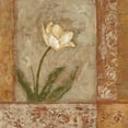 thumbnail image 2 of Bagnato, Judi 15x15 White Modern Wood Framed Museum Art Print Titled - Morning Floral 1, 2 of 4