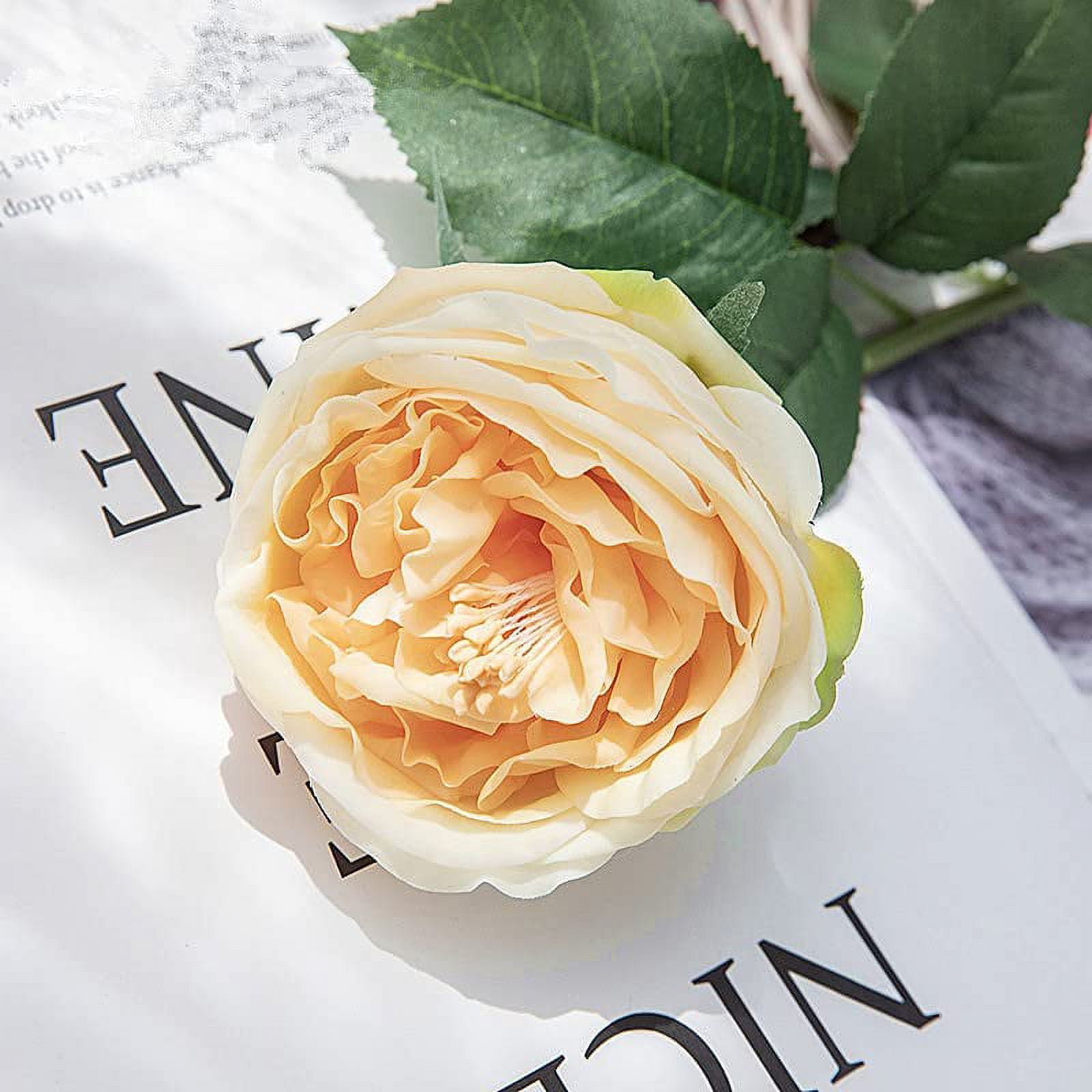 UKELER Artificial Roses 4 Pcs Real Touch Artificial Flowers Champagne Austin Rose Peony with Stem for Home Decor Flower Arrangement Wedding Party Decoration