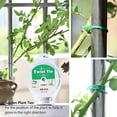 thumbnail image 3 of 2 Piezas de Lazos para Plantas de Jardín de 100 m, Correas para Amarres de Jardín para Asegurar Plantas, Enredaderas, Arbustos y Flores a Enrejados y Estacas, 3 of 5