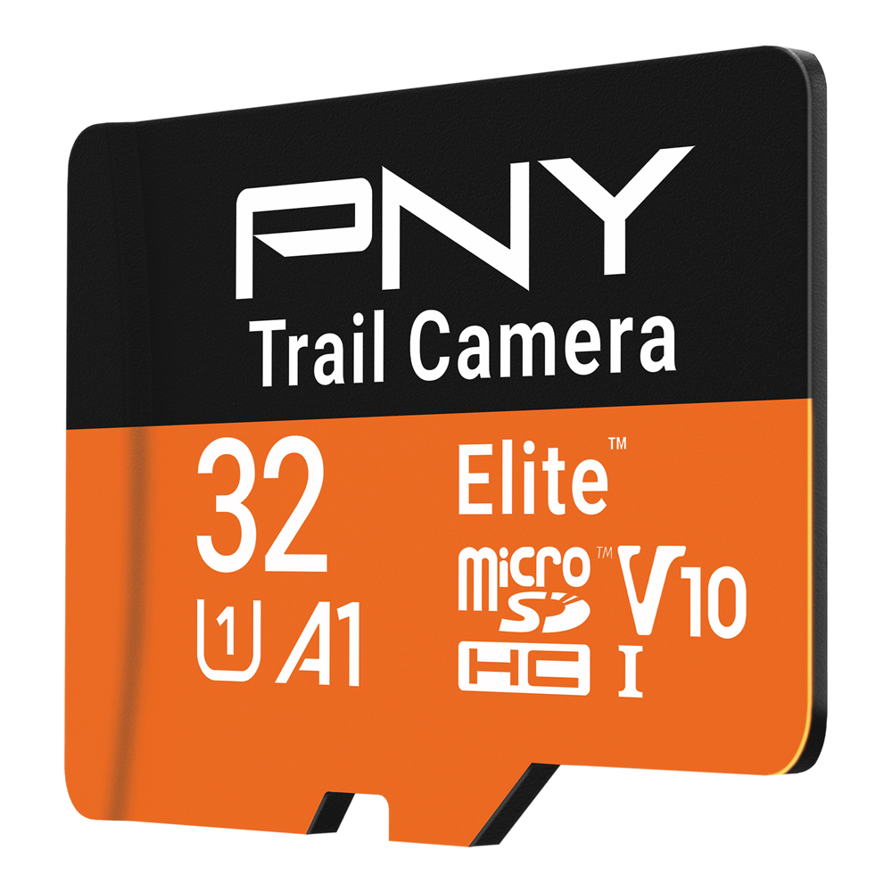 PNY 32GB Elite microSDHC Memory Card, Class 10 U1 V10 photo 1