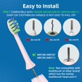 thumbnail image 3 of Cabezas de Cepillo Dental Toolsy 10PCS Compatibles con 7AM2M, 3 of 7