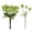 green, variant on Dandelion Bouquet for Indoor Elegant Wedding Style 5 Piece Courtyard Door Display 5PCS,9.85 in,Green grass