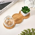 thumbnail image 3 of Bamboo Plant Saucer 8.9 x 3.4 Inch Succulent Pots Holder Drainage Tray Round Wood Salt Pepper Mill Tray Plant Plates for Flower Pots Home Kitchen Garden Indoors Outdoors, 3 of 7