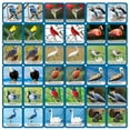 thumbnail image 5 of MasterPieces Audubon Kids Matching Card Game for Families, Ages 3+, Officially Licensed, 5 of 5