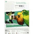 thumbnail image 3 of Paulie (DVD), Paramount, Comedy, 3 of 3