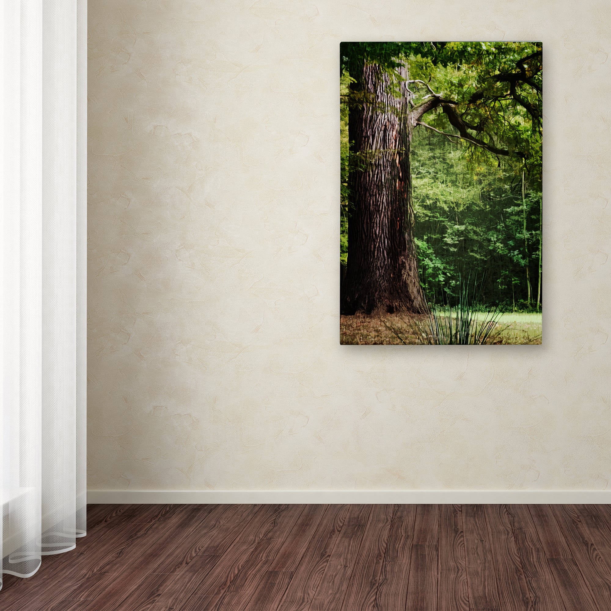 Trademark Fine Art "The old Trunk" Canvas Art by Philippe Sainte-Laudy