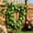 A, variant on Key Ring Artificial Garland Greenery Vines With Grape Leaves Hanging Durable For Backpack Purse Handbag Clear