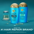 thumbnail image 3 of OGX Renewing + Argan Oil of Morocco Repairing Shampoo, 3 fl. oz, 3 of 8
