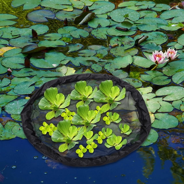 HOOWIFFY Red Para Plantas Flotantes Resistente Para Estanques Y Fuentes Decorativas