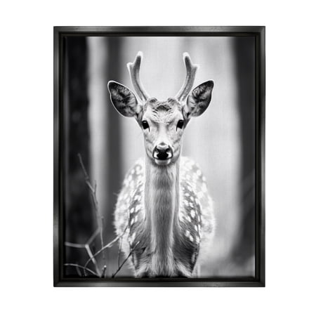 Stupell Industries Baby Fawn Photography Animals & Insects Photography Black Floater Framed Canvas Art Print Wall Art 17 x 21