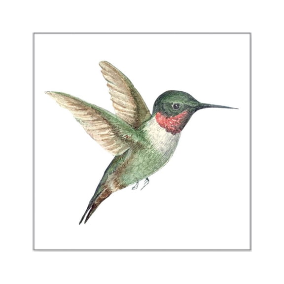 CafePress - Hummingbird Square Sticker 3 X 3 - Square Sticker 3" x 3"