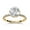 Yellow Gold, variant on Hidden Halo Solitaire Engagement Ring for Women, 2.70 Carat (ctw) Round Cut Lab Grown Diamond Ring In 14K White Gold Over Sterling Silver F-G-H, SI Quality Ring Size-9