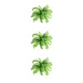 thumbnail image 1 of Flores Artificiales Monstrate para Jardín Aspecto Realista 20 Gran Hoja Persa, 1 of 6