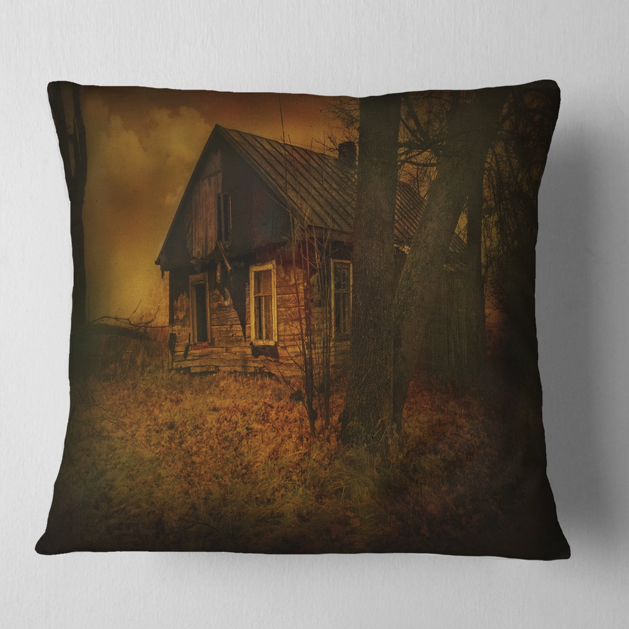 Designart Old House Landscape - Photography Throw Pillow - 16x16