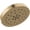 Lumicoat Champagne Bronze, variant on Delta 52488 Universal Showering Components 1.75 GPM Multi Function Rain Shower Head -