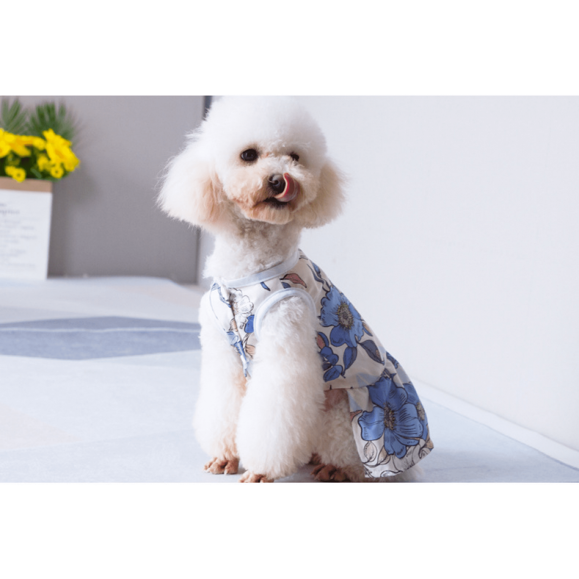 Puppy Clothes Summer Cute Short Skirt Princess Skirt Girls Dog Clothes Clothing Pet Wedding Cat Skirt Clothing Clothes Large Flower Pattern S Size Walmart