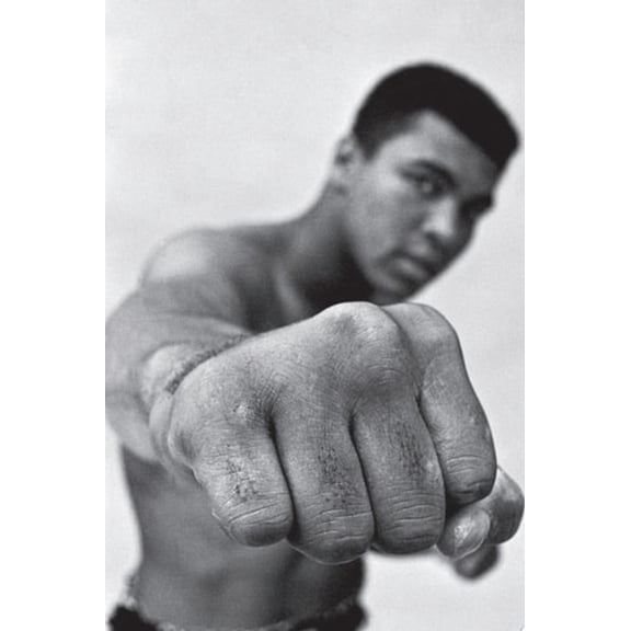 Pre-Owned Ali: A Life