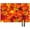 Fall Decor, variant on Fall Placemats Set of 6, Heat Resistant Non-Slip Yellow Place Mats for Kitchen Dining Table, Washable Durable Cloth Table Mats Holiday Decor, 18x12 Inch