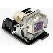 Promethean ActivBoard 178 Projector Lamp with Module
