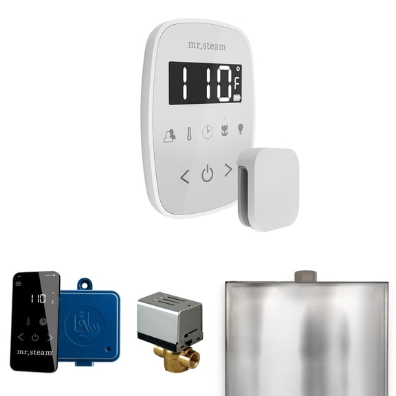 Mr Steam ButlerFlex Steam Shower Control Package with TempoFlex Control and Steamhead in White