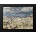 thumbnail image 2 of Prime, Marcus 14x12 Black Modern Framed Museum Art Print Titled - Desert Oasis, 2 of 5
