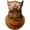 D, variant on Chimpanzee Neck Gaiter, Funny Monkey Face Half Face Cover Bandana, Stretchy Sun Mask for Cycling Motorcycle Outdoor