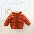 thumbnail image 4 of GYRATEDREAM Winter Coats for Toddler Kids Baby Boys Girls Padded Light Puffer Jacket Outerwear Infant Down Teddy Bear Jacket with Hoods for 4-5Y Brown, 4 of 7