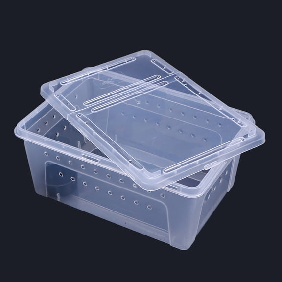 Niceauty Reptile Case Plastic Feeding Box Easy to Clean with Medium Capacity White