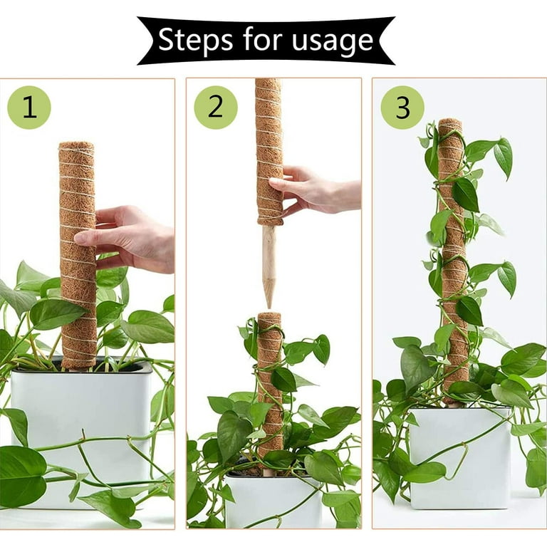 Moss Pole - Moss Plant Sticks - Triani 4 Moss Stick for