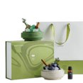 thumbnail image 5 of Forest Green Crystal Aroma Diffuser Set, Gypsum Holder with Essential Oil, 5 of 5