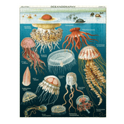Jellyfish Vintage Puzzle 1000 Pieces