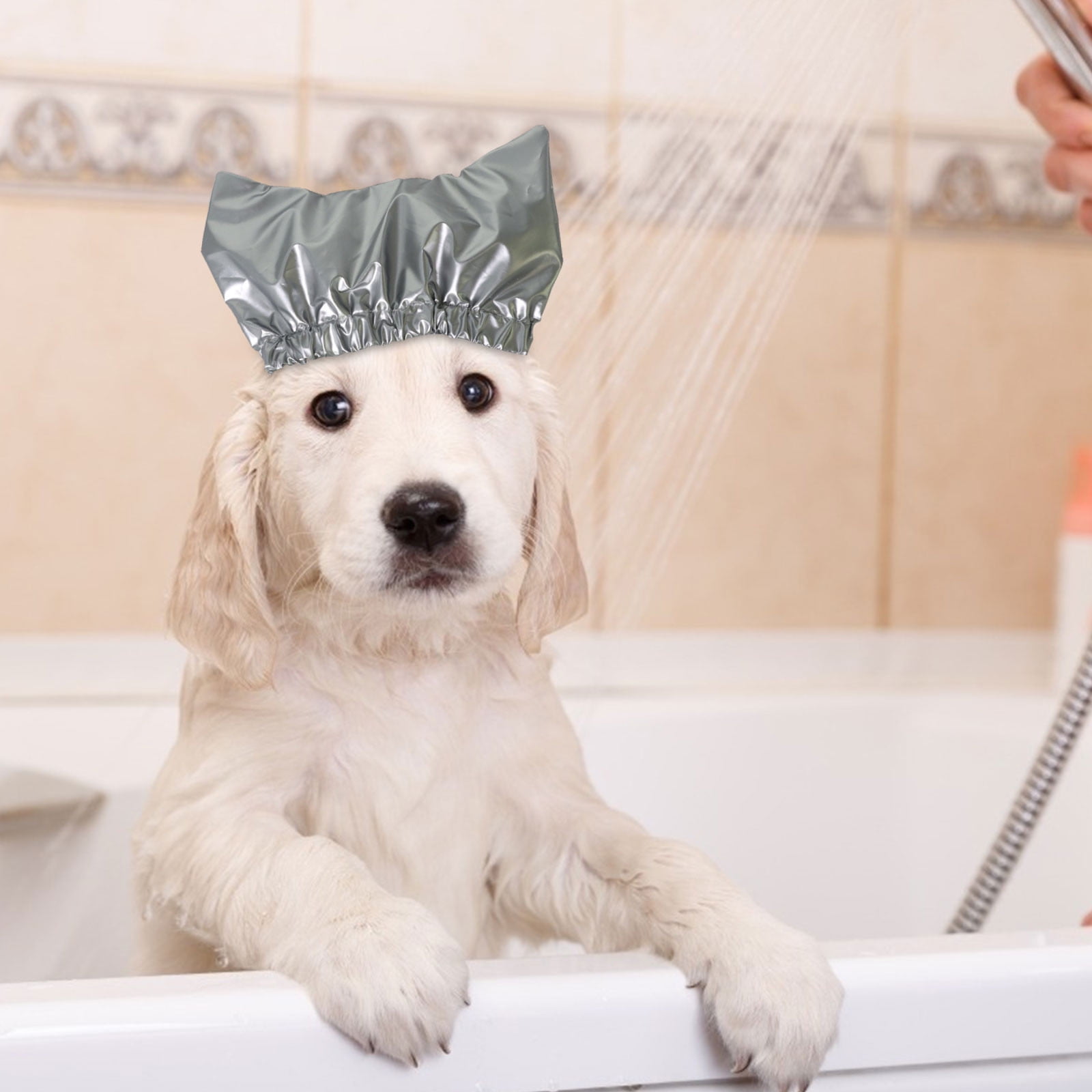 Dog in top shower cap