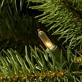 thumbnail image 3 of National Tree Company 7.5 Pied Pré-Éclairé Douglas Sapin Arbre de Noël, 3 of 6