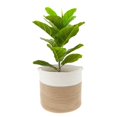 thumbnail image 1 of Cotton Rope Jute Woven Storage Basket Bag Flower Plant Straw Potted Indoor Planter Modern Home Decoration, 1 of 7