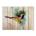 thumbnail image 2 of Day Dream HQ Crousers the Oriole Inside & Outside Wood Wall Art - 22 x 16 in., 2 of 7