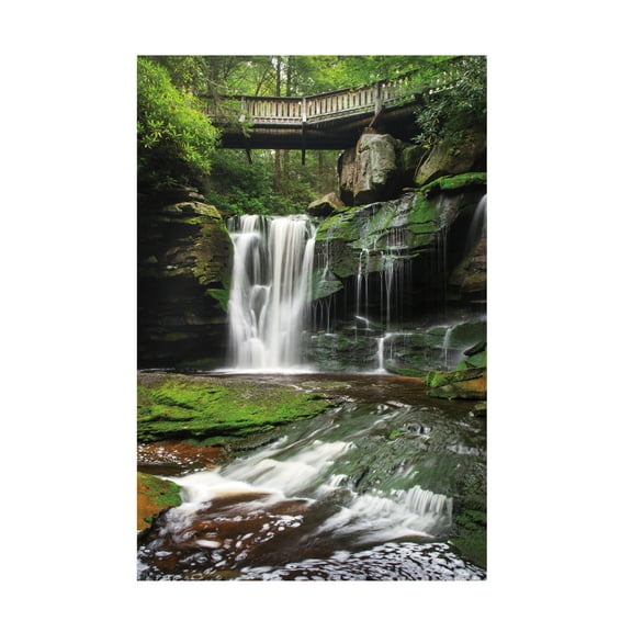 Trademark Fine Art 'Elakala Falls West I' Canvas Art by Alan Majchrowicz