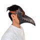 thumbnail image 4 of Cubierta facial con pico de Halloween, cubierta facial con pico de Halloween, accesorios de cosplay para Halloween, cubierta facial Steampunk muy versátil, 4 of 9
