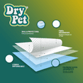 thumbnail image 2 of TAPETE ENTRENADOR DRY PET - 14 PZ Dry Pet 14 PZ, 2 of 2
