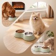 thumbnail image 2 of ICQOVD Stainless Steel Double Pet Bowl Set Food and Water Feeder with Non Slip Base Large Capacity Durable Feeding Bowl 9.84x5.31x1.77IN, 2 of 7