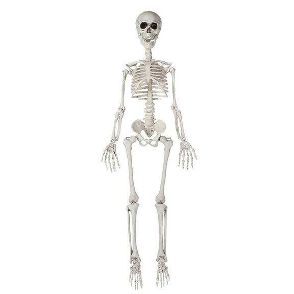 Halloween Skeleton Decoration, 36-Inch Tall Life-Size Halloween Skeleton Props With Movable Joints, Suitable for Halloween Indoor And Outdoor Parties, Cemeteries, And Haunted House Accessories.