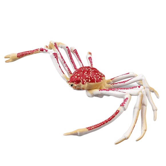 Crab Model Decoration Children Sea Animal Toys Kid Home Party Toddler Pole Girl Toddler Tops Boys Preschool Boy for Kids Ages 1-3 Building for Toddlers Girls for Toddlers Age 1 Splat Game
