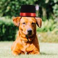 thumbnail image 4 of unbranded Accesorio Para Mascotas De Tela Duradera Para Eventos Y Fotografía, 4 of 8