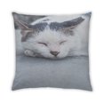 thumbnail image 2 of Ahgly Company Cat Cats Indoor Throw Pillow, 18 inch by 18 inch, 2 of 6