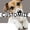 Curious Puppy, variant on TalkingCase Slim Fit Phone Case Compatible for Samsung Galaxy S24 Ultra(Not S24, S24+ Plus), Dogecoin Crypto 01 Print, Lightweight,Flexible, USA Print