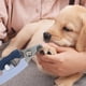 thumbnail image 5 of Cortaúñas para perros y gatos | Diseño de mango de cola de pez | Hoja en forma de media luna | Tope de seguridad ajustable | Empuñadura suave antideslizante | Herramienta de corte manual |, 5 of 5