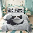 thumbnail image 2 of meiyoeat Pet Cat Bed Spread Queen,Cute Animal Kitten Queen Coverlet Set,3 Pieces,1 Quilt and 2 Pillowcases, 2 of 7